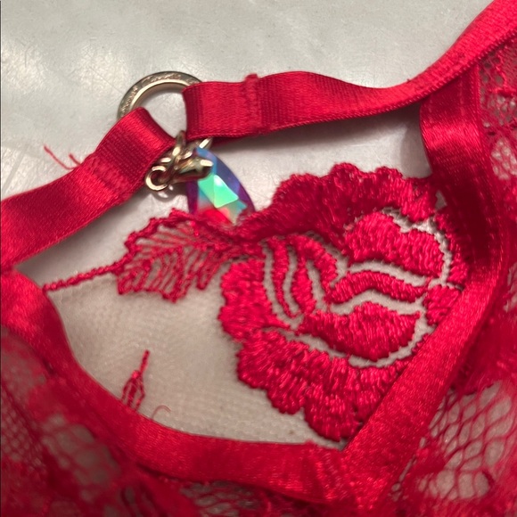 Honey Birdette Whitney brief Red Lace Panties small NWT - Picture 7 of 7